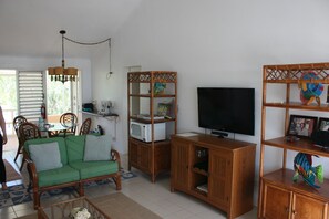 TV, DVD player, books, music library