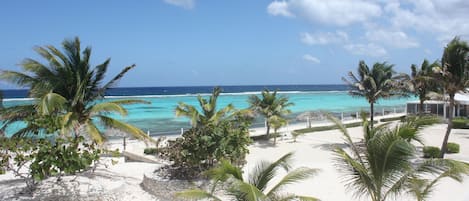 On the beach, sun loungers, beach towels