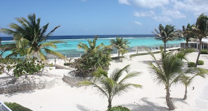 Mar Paraíso # 24