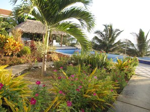 Property grounds - Beachfront Condo; Infinity Pool; 2 Bdrm ;2 Bath; Plus Gorgeous Views (San Vicente/Canoa)