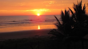 Un atardecer sobre el océano con palmeras al frente.