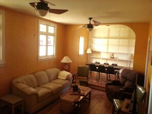 Televisio, takka, DVD-soitin, kirjoja