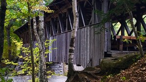A rustic wooden structure with a covered porch, surrounded by dense forest and rocky terrain. - True North at Sunday River-Powder Ridge-4miles to Mtn. New Air Conditioning !! (Newry)