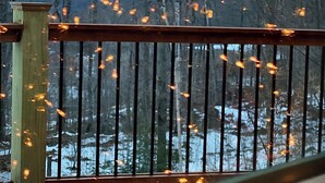 A wooden deck with a metal railing, overlooking a snowy landscape with bare trees and distant mountains. - True North at Sunday River-Powder Ridge-4miles to Mtn. New Air Conditioning !! (Newry)