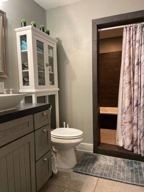 Combined shower/tub, hair dryer, towels, soap