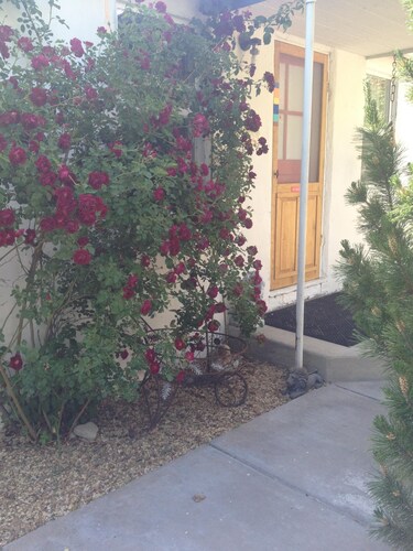 LAVENDER COTTAGE ON WALL