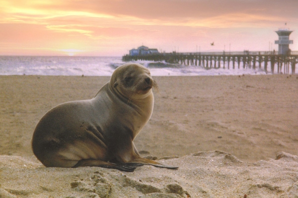 This PRISTINE SAND is only FOOTSTEPS AWAY ....