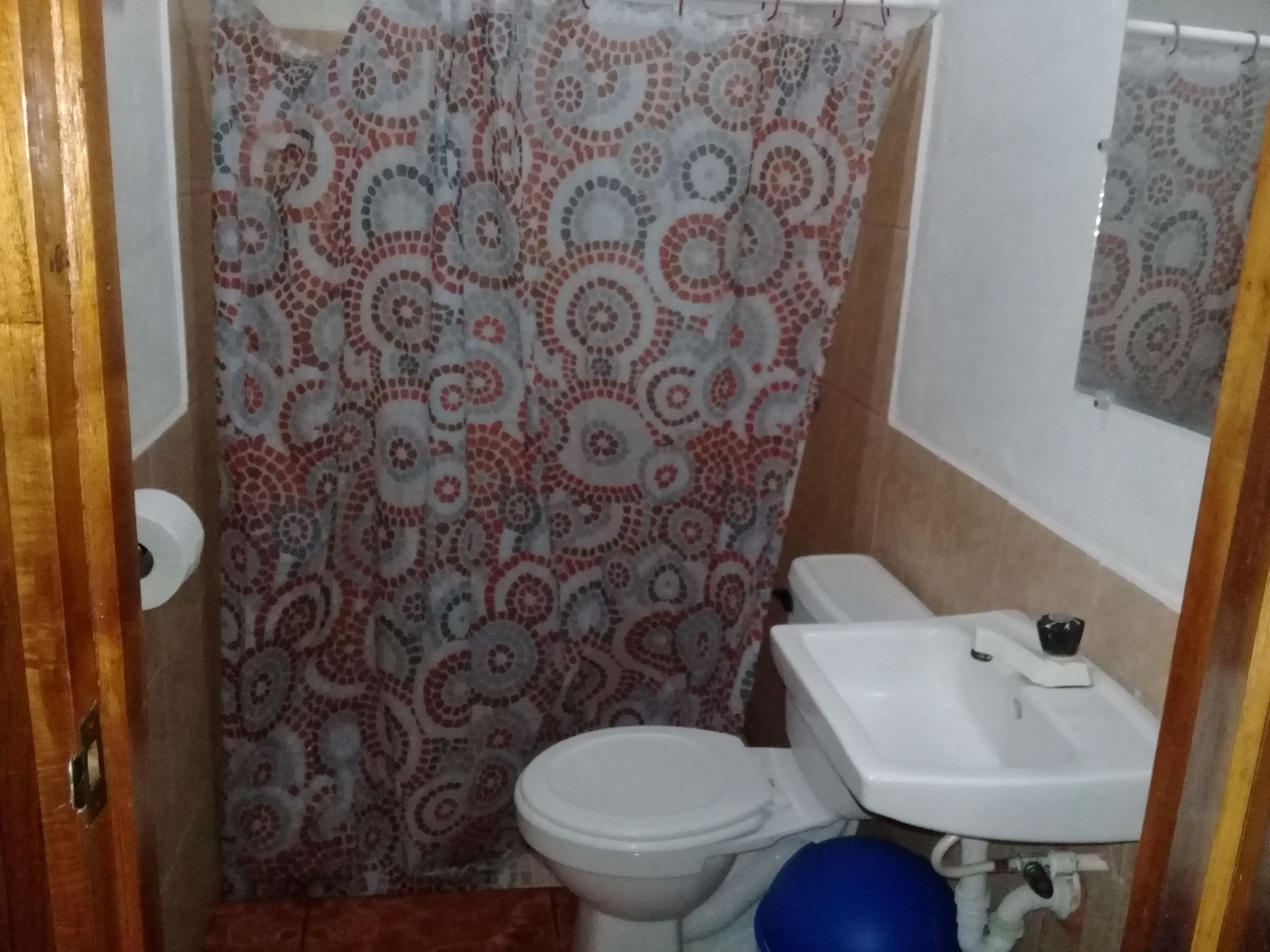 Ein kleines Badezimmer mit Toilette, Waschbecken und Duschvorhang.