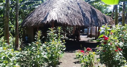 Inn Hospedaje BullShark