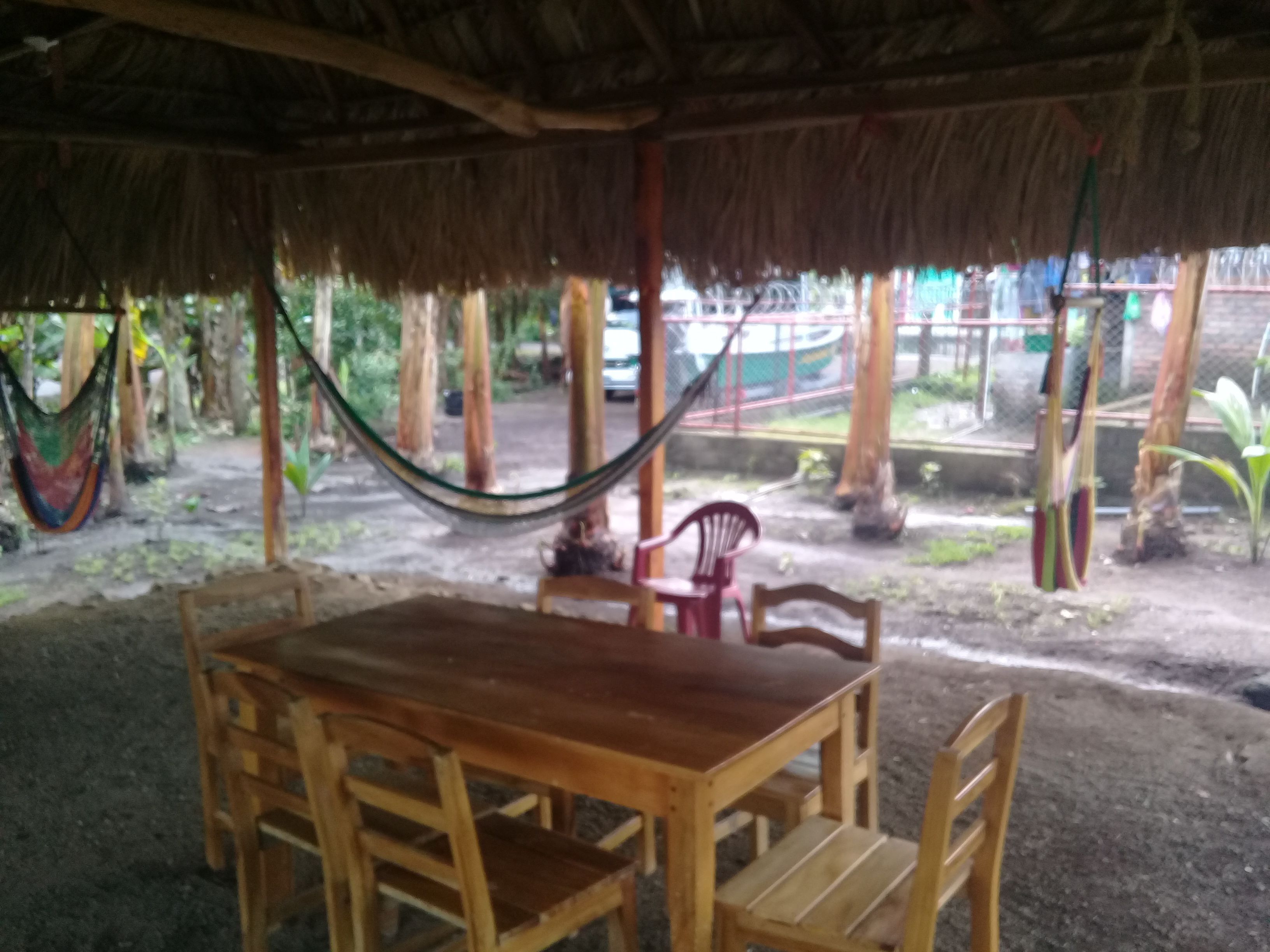 A wooden table with chairs under a thatched roof, surrounded by trees and a hammock.