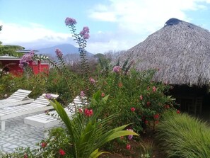 Property grounds - Inn Hospedaje BullShark (Altagracia)