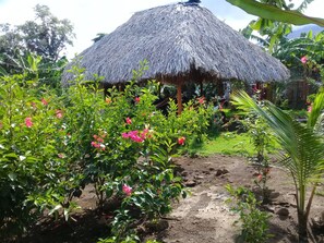 Exterior - Inn Hospedaje BullShark (Altagracia)
