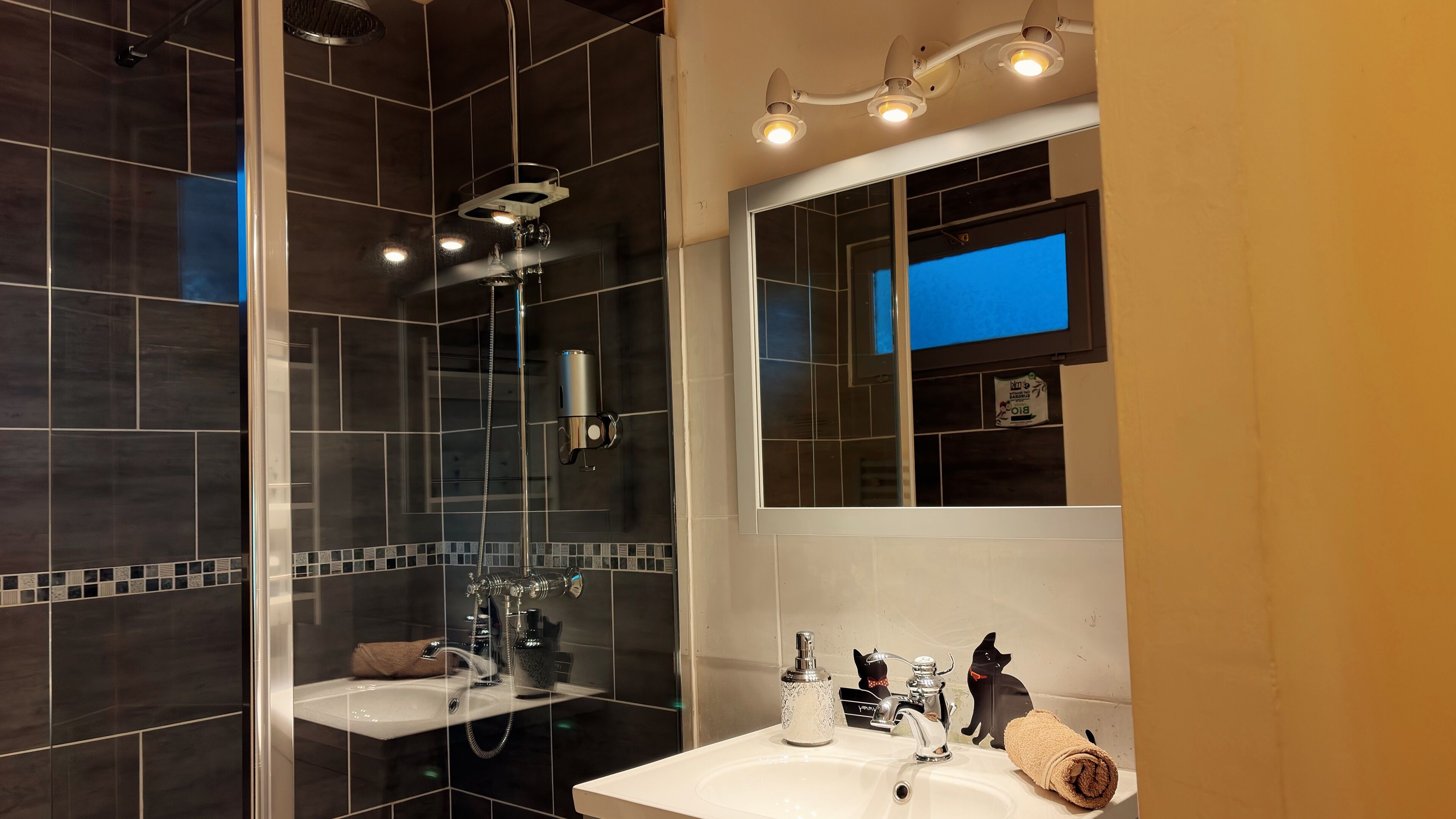 Douche, sèche-cheveux, serviettes fournies, savon