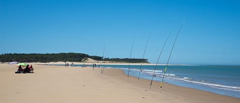 Nära stranden, gratis transport till/från stranden och strandbarer