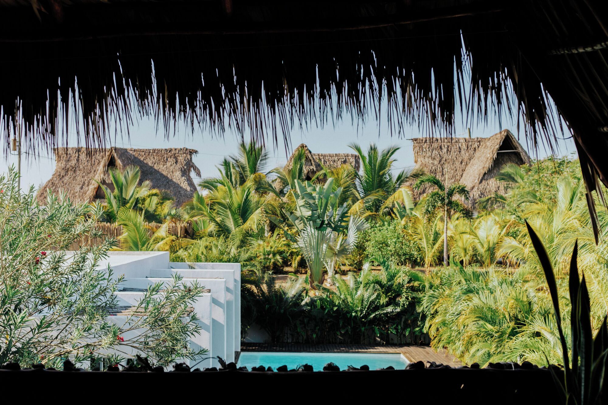 Blick auf den Garten