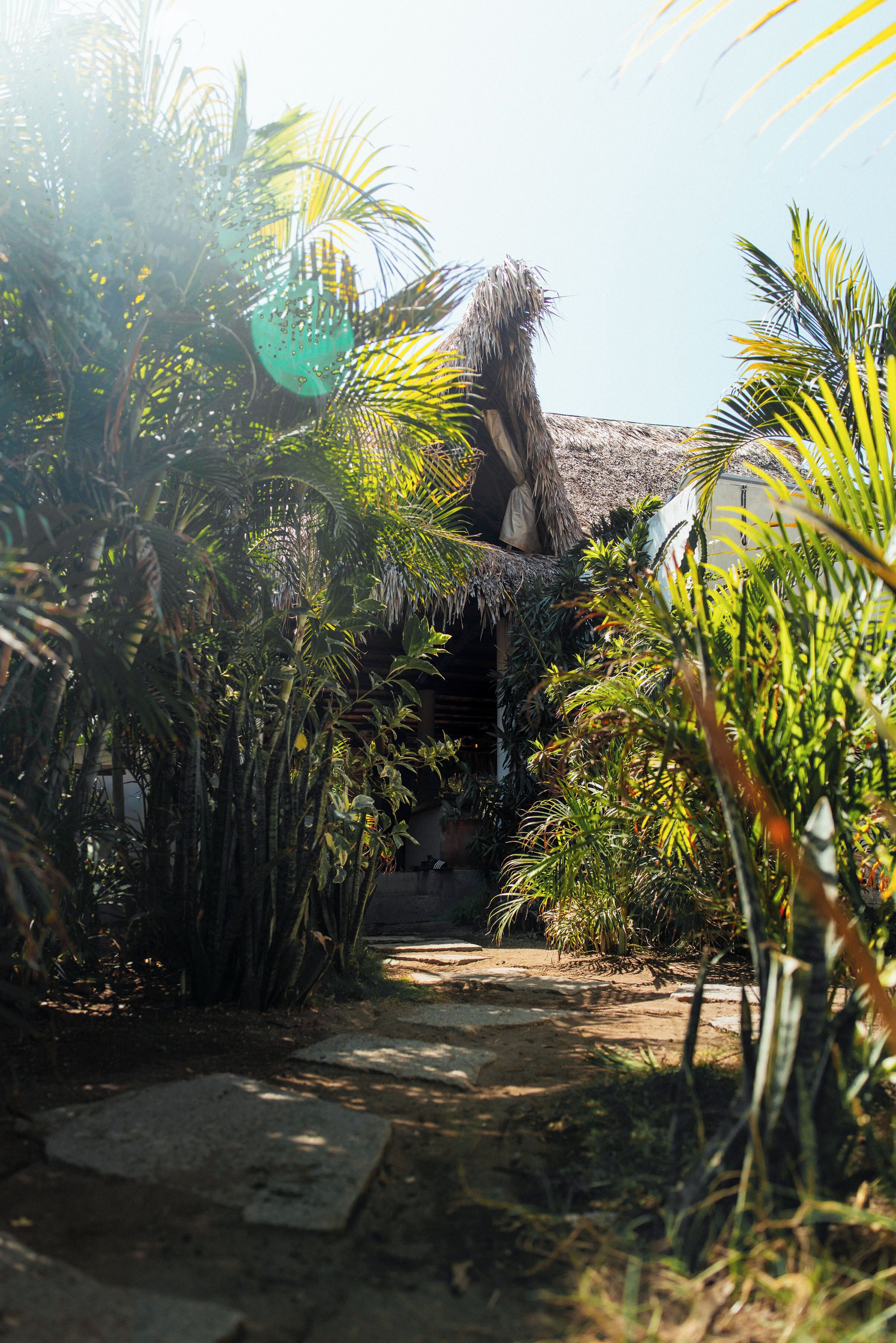Un sentier menant à un bâtiment dont le toit est recouvert de chaume, entouré d’une végétation tropicale luxuriante.