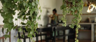 Kitara House Backpackers Hostel