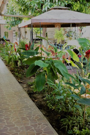 Sun deck - Kitara House Backpackers Hostel (Tarapoto)