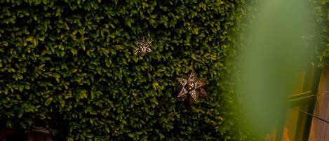 Televisión de pantalla plana de 0 pulgadas con canales por cable