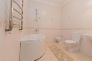 Bathtub, hair dryer, bidet, towels