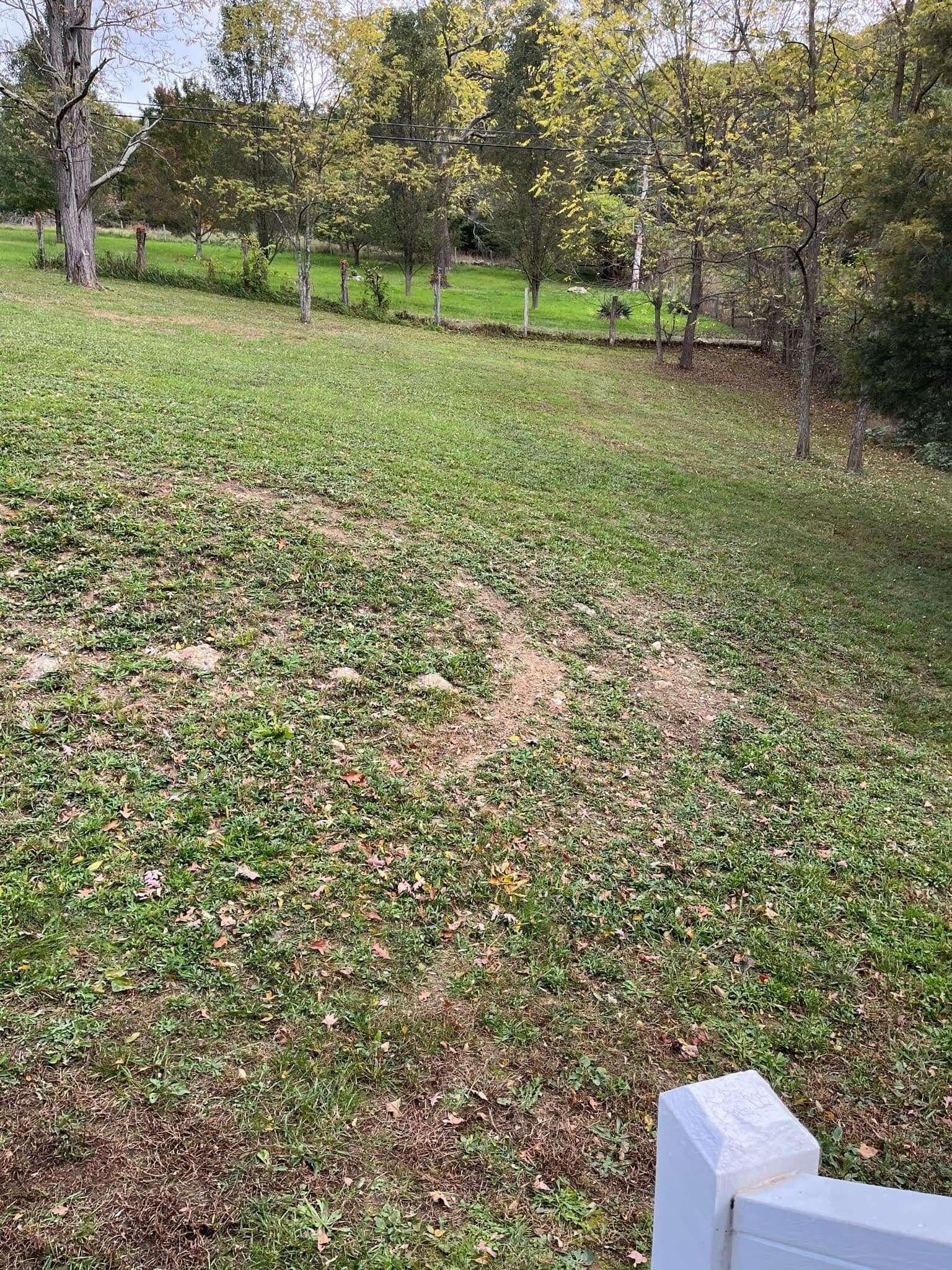 A grassy field with a white fence in the foreground.
