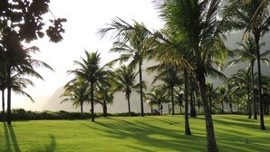 A lush green lawn with palm trees and a clear sky. - Pleasant beachfront house on Guaecá beach, São Sebastião, SP (São Sebastião)