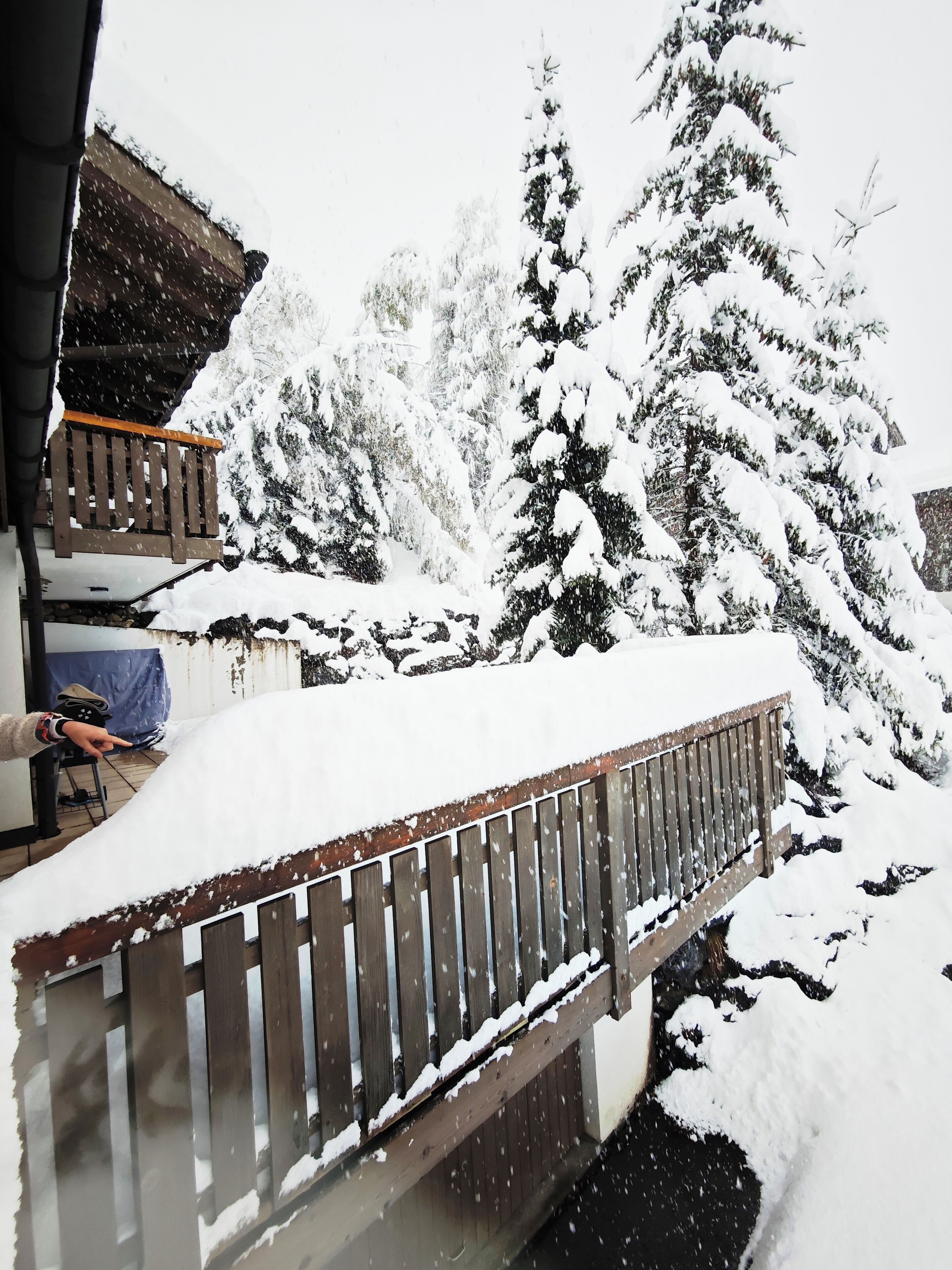 Eine Holzterrasse mit Schnee, umgeben von schneebedeckten Bäumen.
