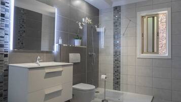 Combined shower/tub, hair dryer, bidet, towels