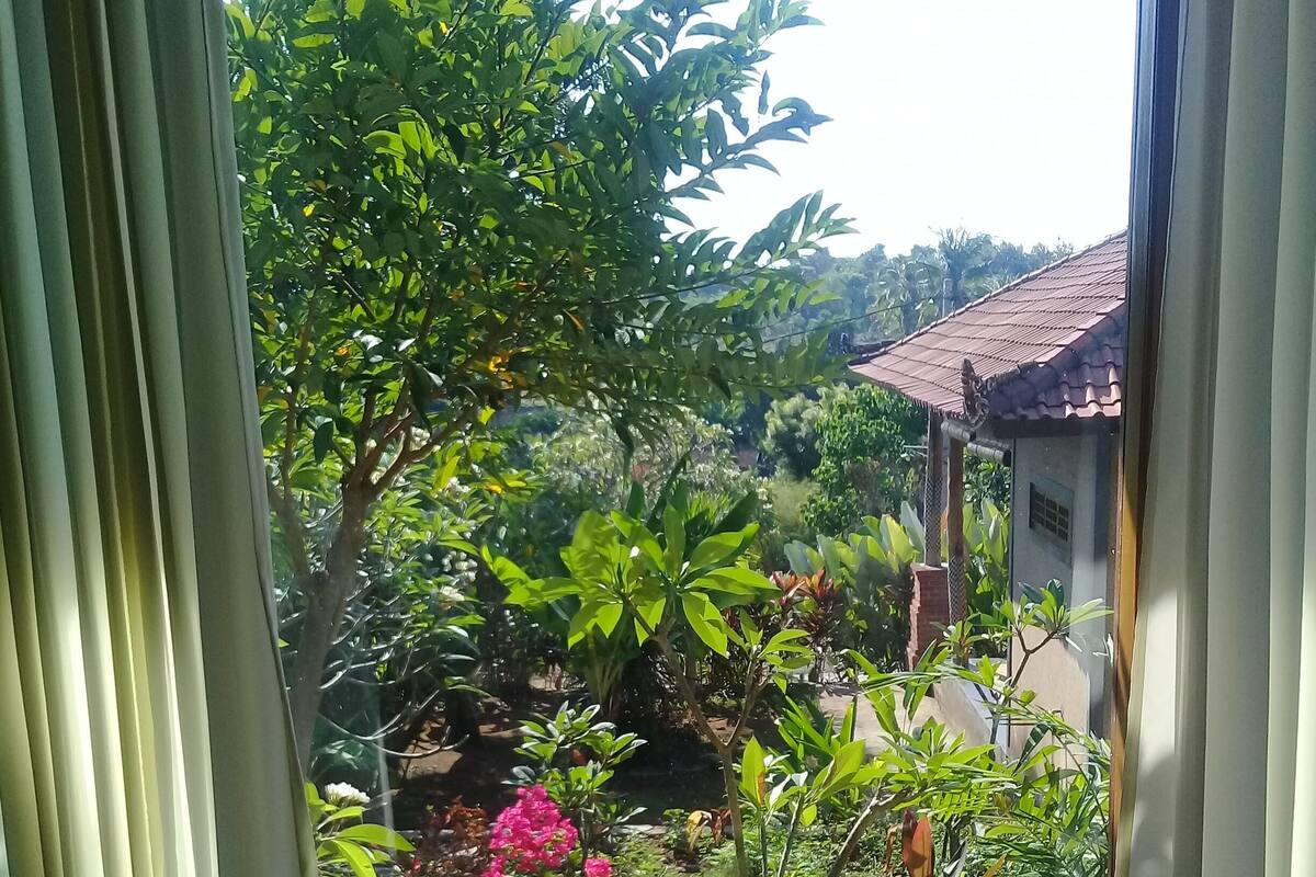 Blick aus einem Fenster mit einem Glastisch, umrahmt von Vorhängen.
