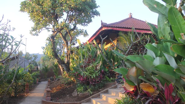 A pathway leading to a traditional building with a tiled roof, surrounded by lush greenery and plants.