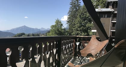Les Carroz d'Araches Großes Studio Kabine (4A6) auf den Schienen (265kms)