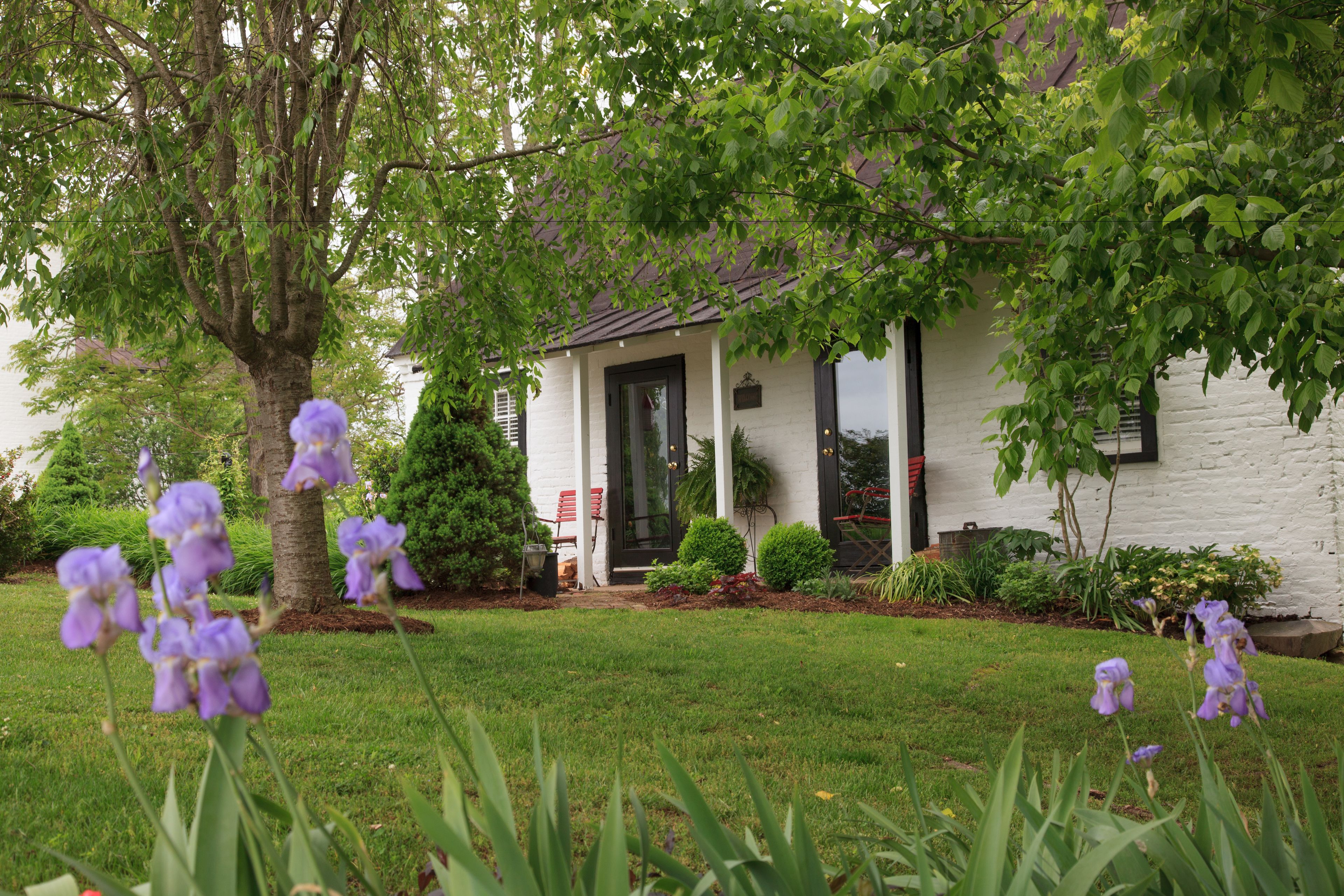 A white house with a dark door, surrounded by a well-maintained lawn and purple flowers.