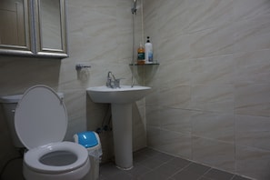 Shower, free toiletries, hair dryer, towels
