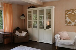 电视、壁炉、DVD 播放器、书