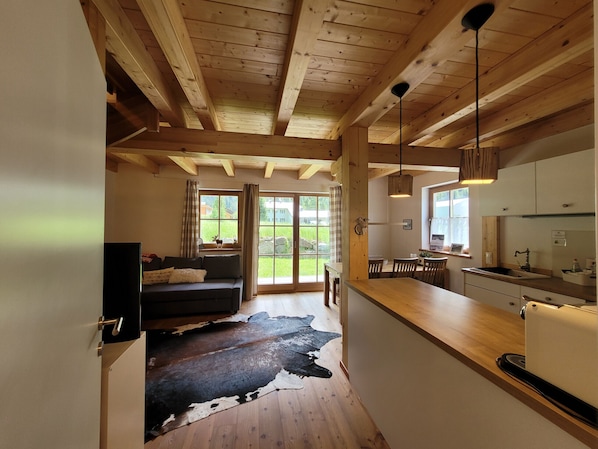 Fernseher, Kamin