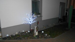 Ein Garten mit einem Zierbaum und verschiedenen Dekorationen.
