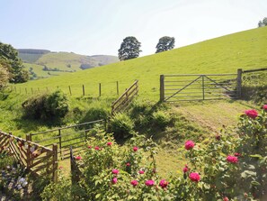 Property grounds - Peniarth (Oswestry)