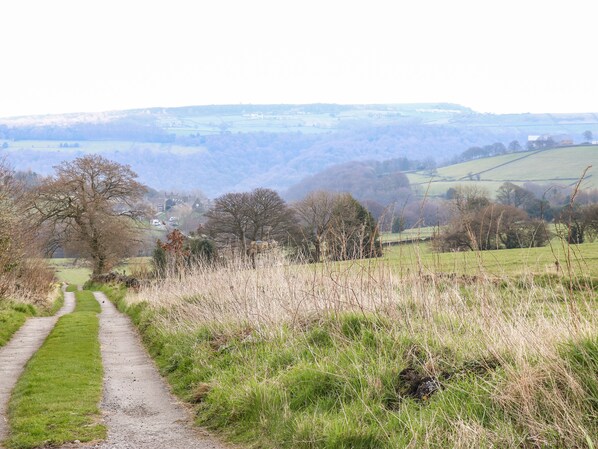 A rural landscape with a gravel path leading through a field, surrounded by trees and open fields. - The Mistle Carr Farm (Sowerby Bridge)