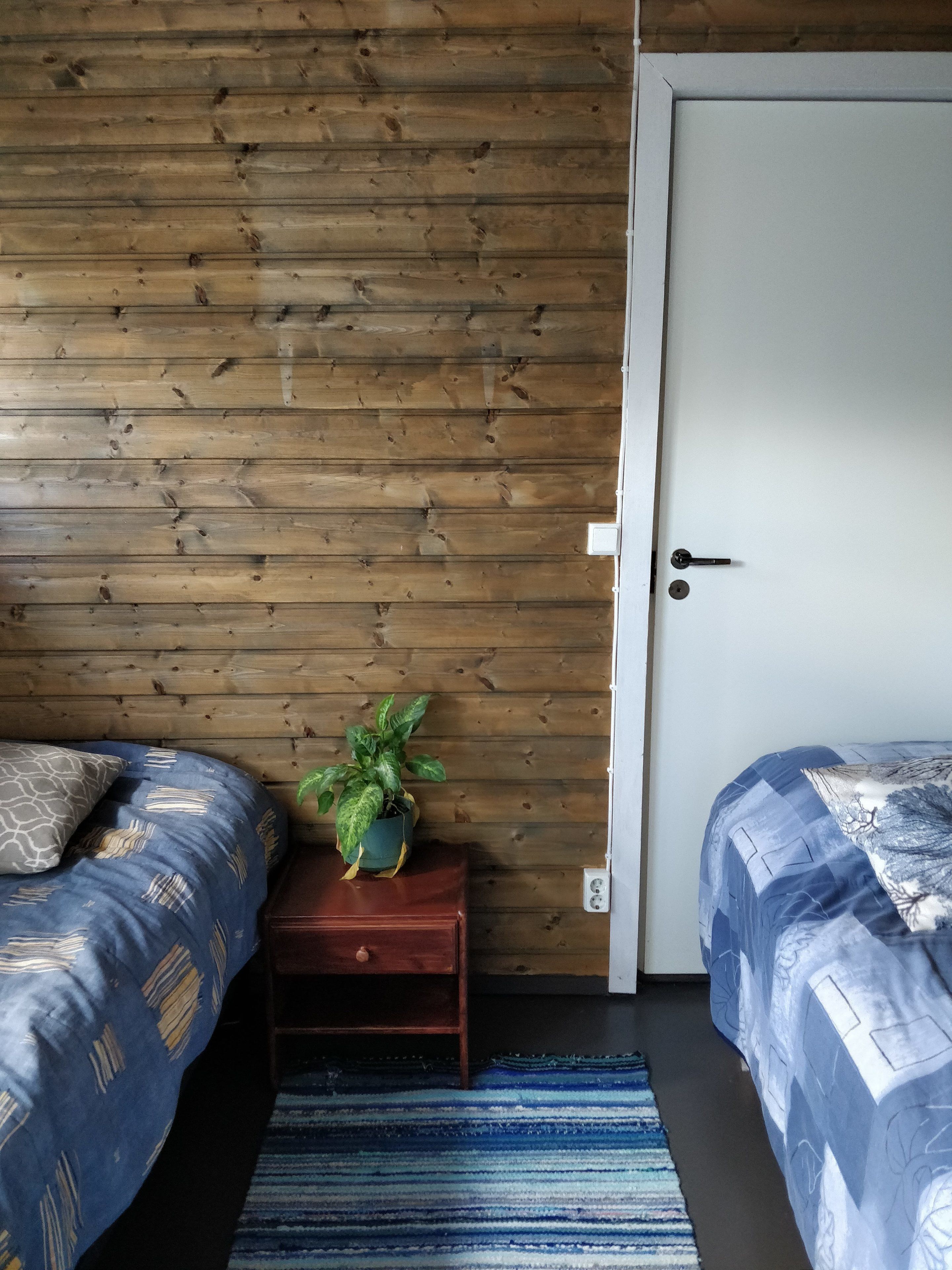 Un dormitorio con dos camas, una pared de madera, una mesita de noche pequeña con una planta y una puerta.