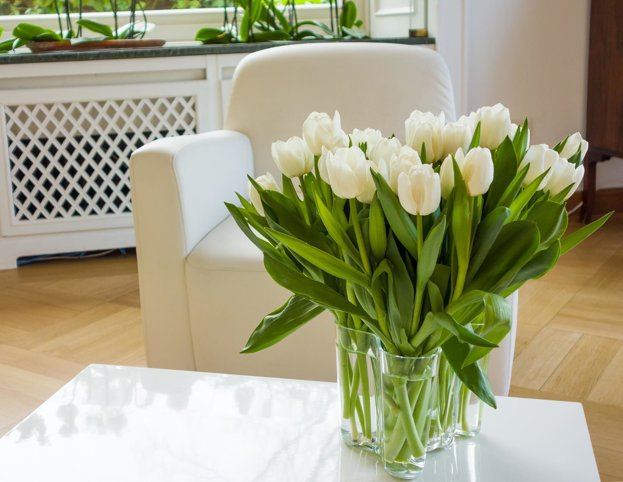 A white chair and a table with a vase of white tulips.