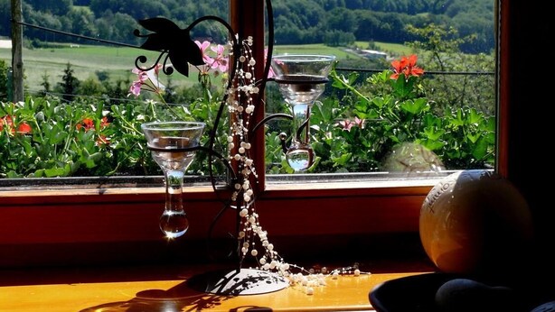 Ein Fenster mit Blick auf eine grüne Landschaft, eine Vase mit Blumen und ein Glas Wasser auf einem Tisch.