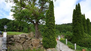 Eine Steintreppe führt zu einem Gebäude, umgeben von üppigem Grün und einem kleinen Teich.