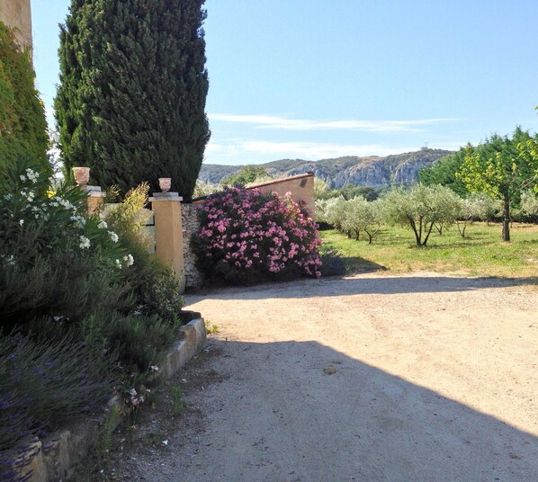 Property grounds - Mas de l'Arrivette (Saint-Genies-de-Comolas)