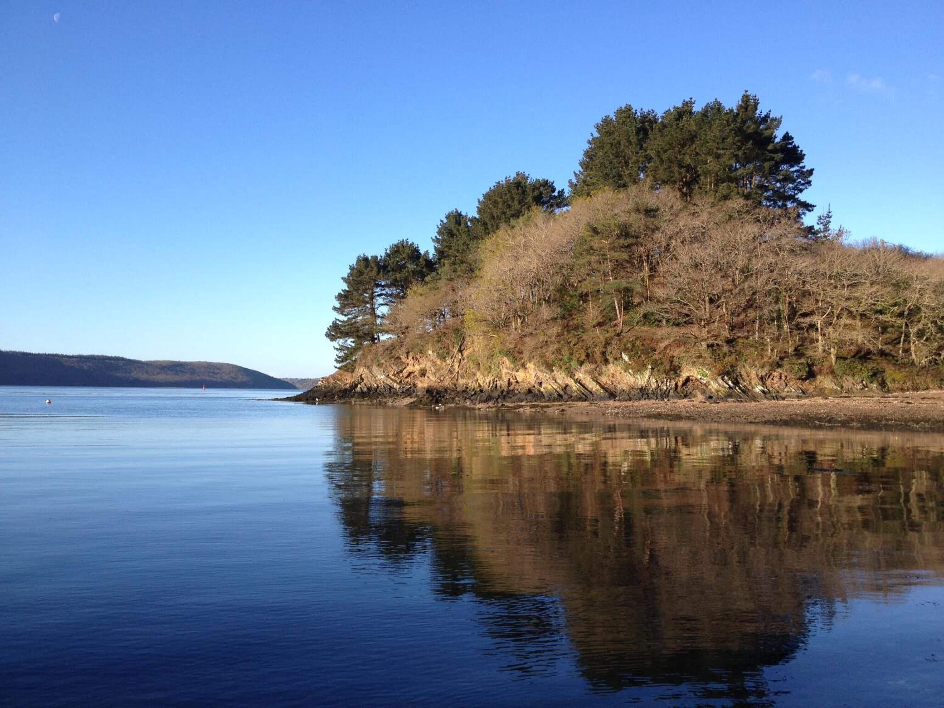 A calm lake with a small island covered in trees.