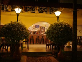 An indoor bar area with two large potted plants, a bar counter, and a seating area with chairs.
