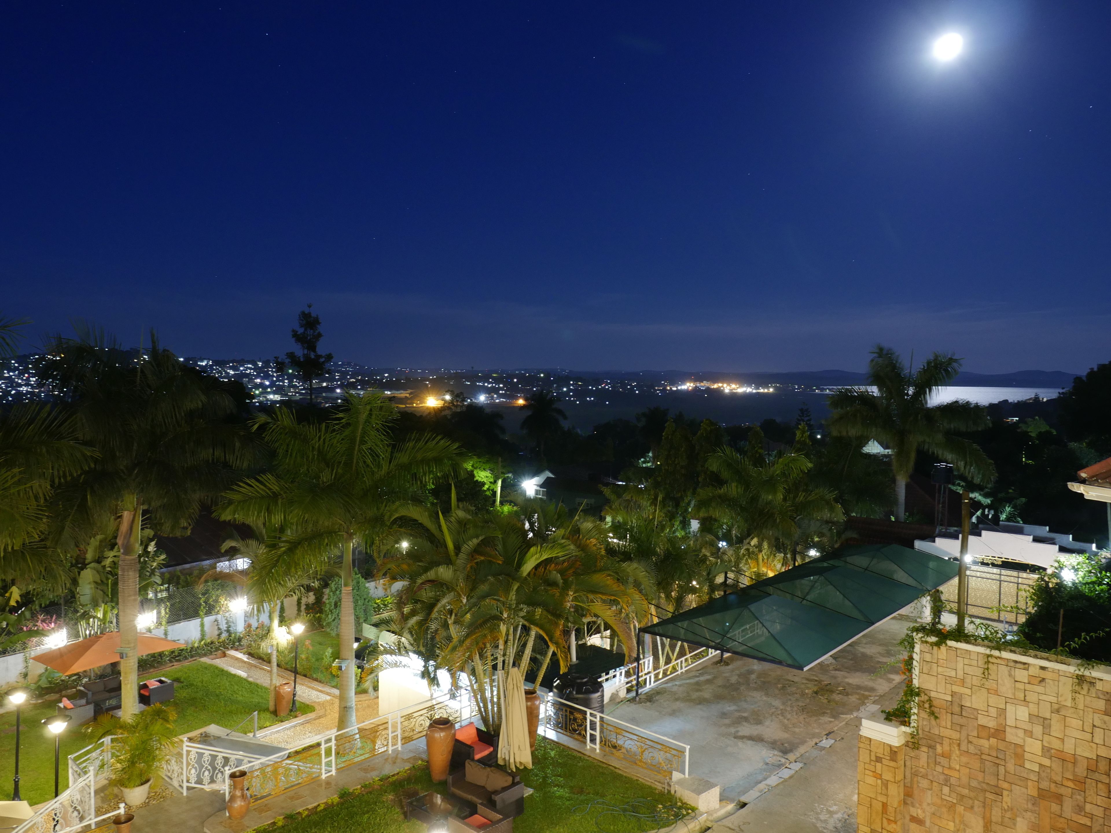 Photo - Ivory Castle Limited