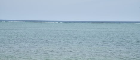 Praia particular, espreguiçadeiras, guarda-sóis, toalhas de praia 