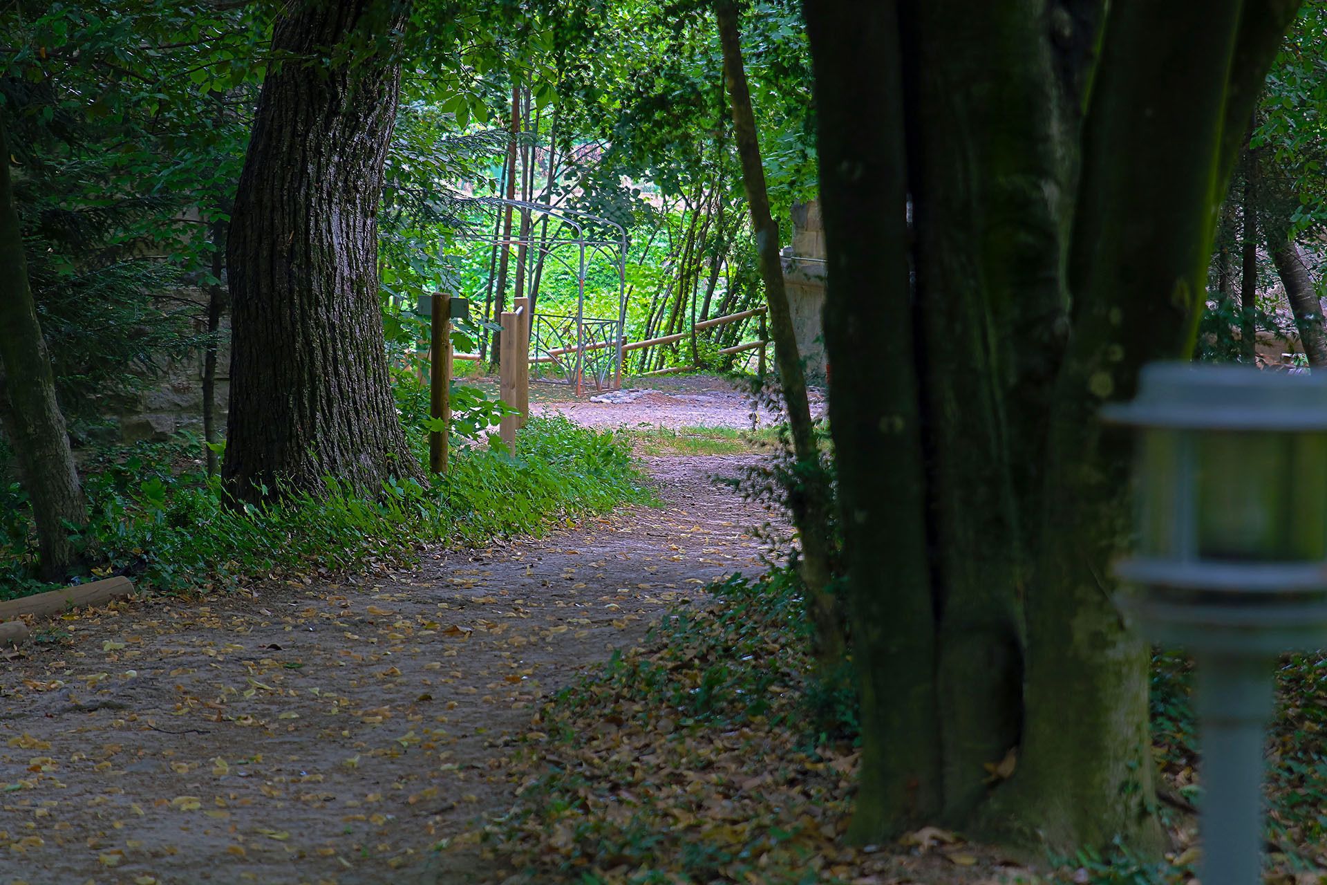Ein Waldweg mit Bäumen und einem Holzzaun.