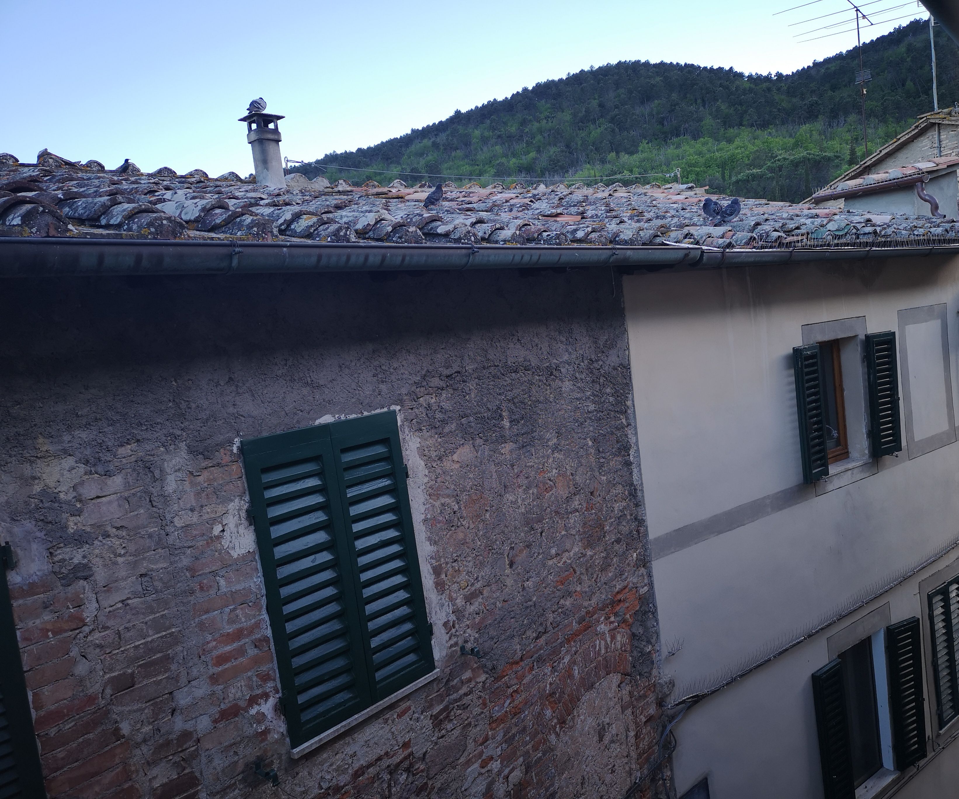 A building with a tiled roof, a brick wall, and a window with green shutters.