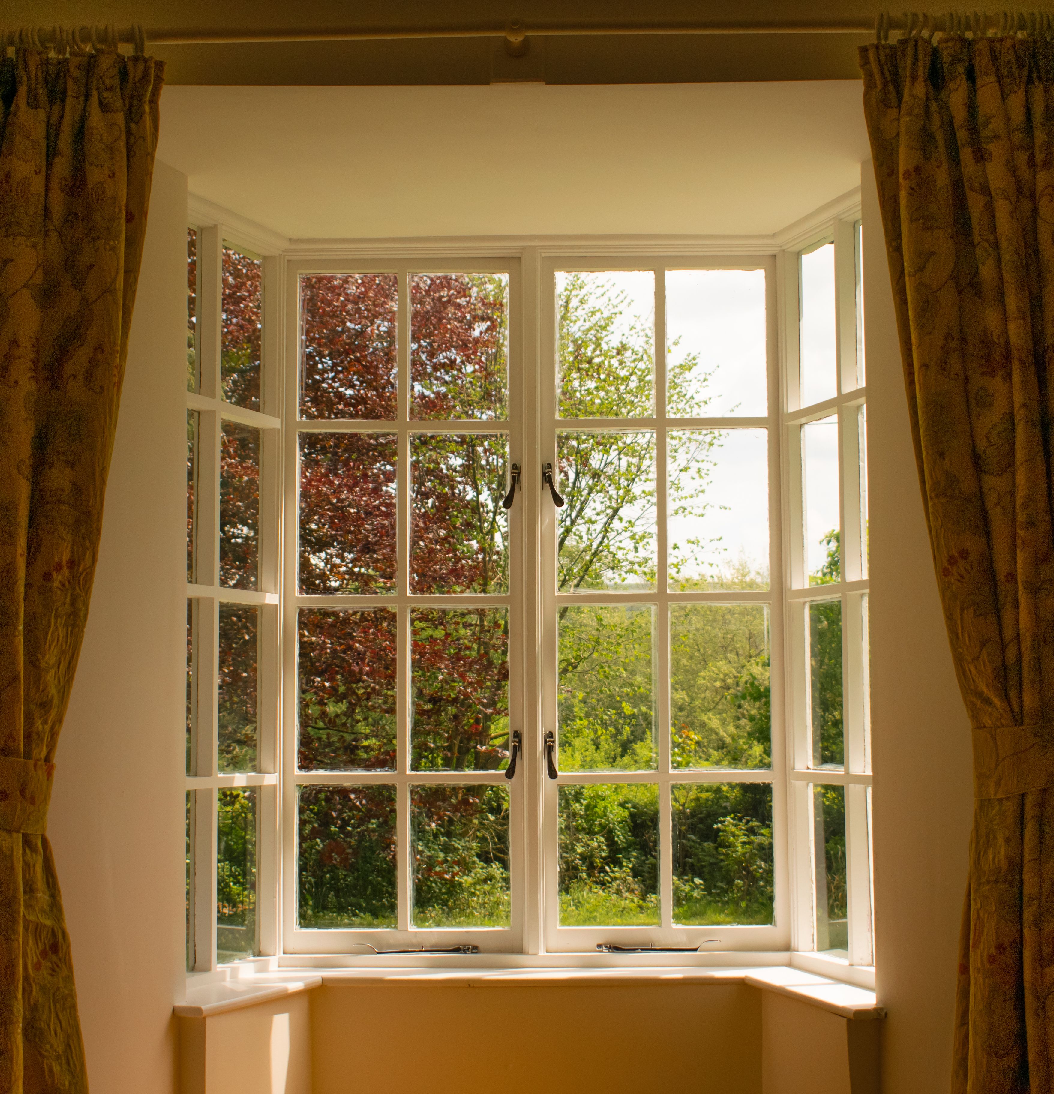 A bay window with multiple panes, curtains on either side, and a view of trees outside.